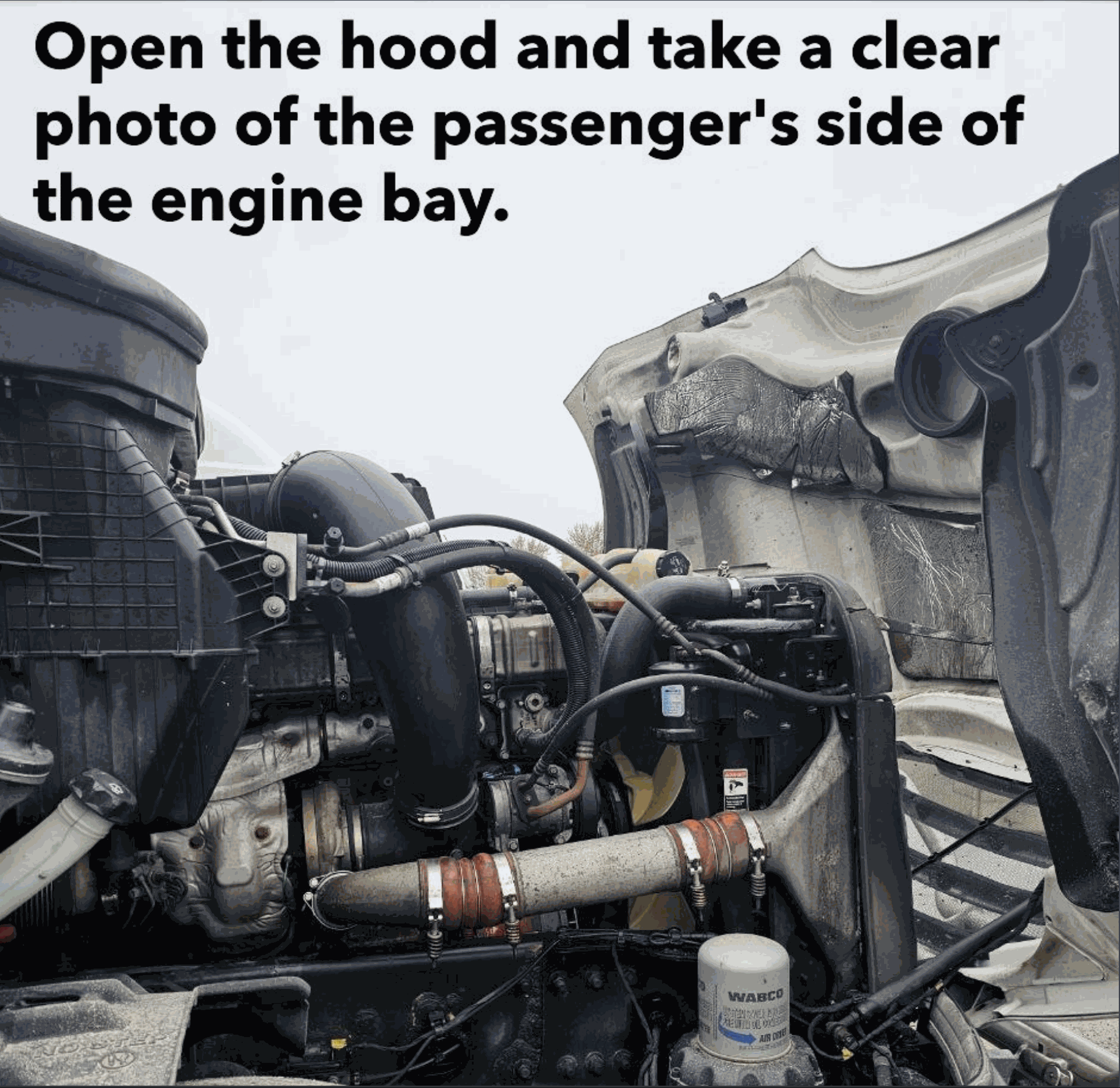 Odoo • Image and Text